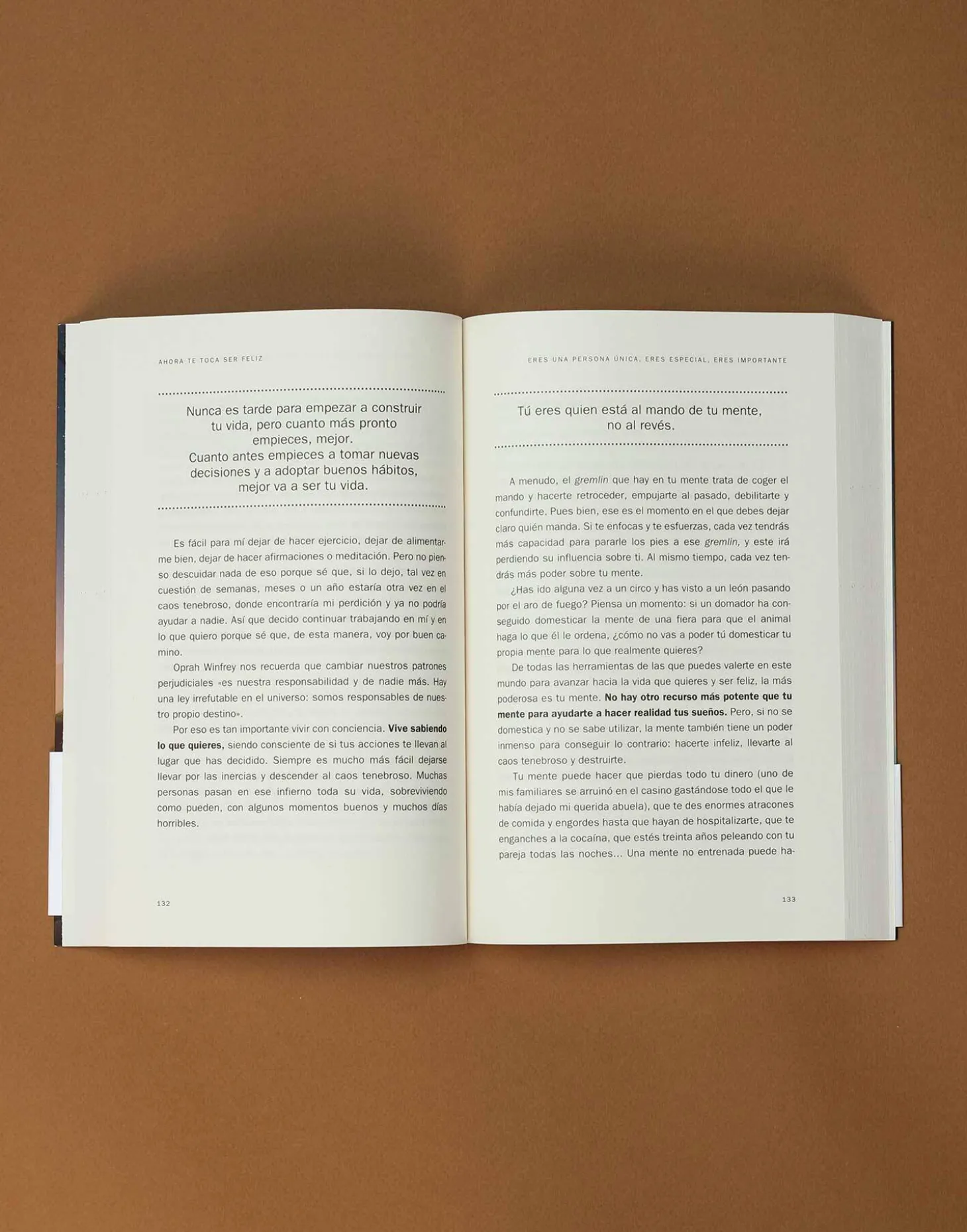 Ahora Te Toca Ser Feliz