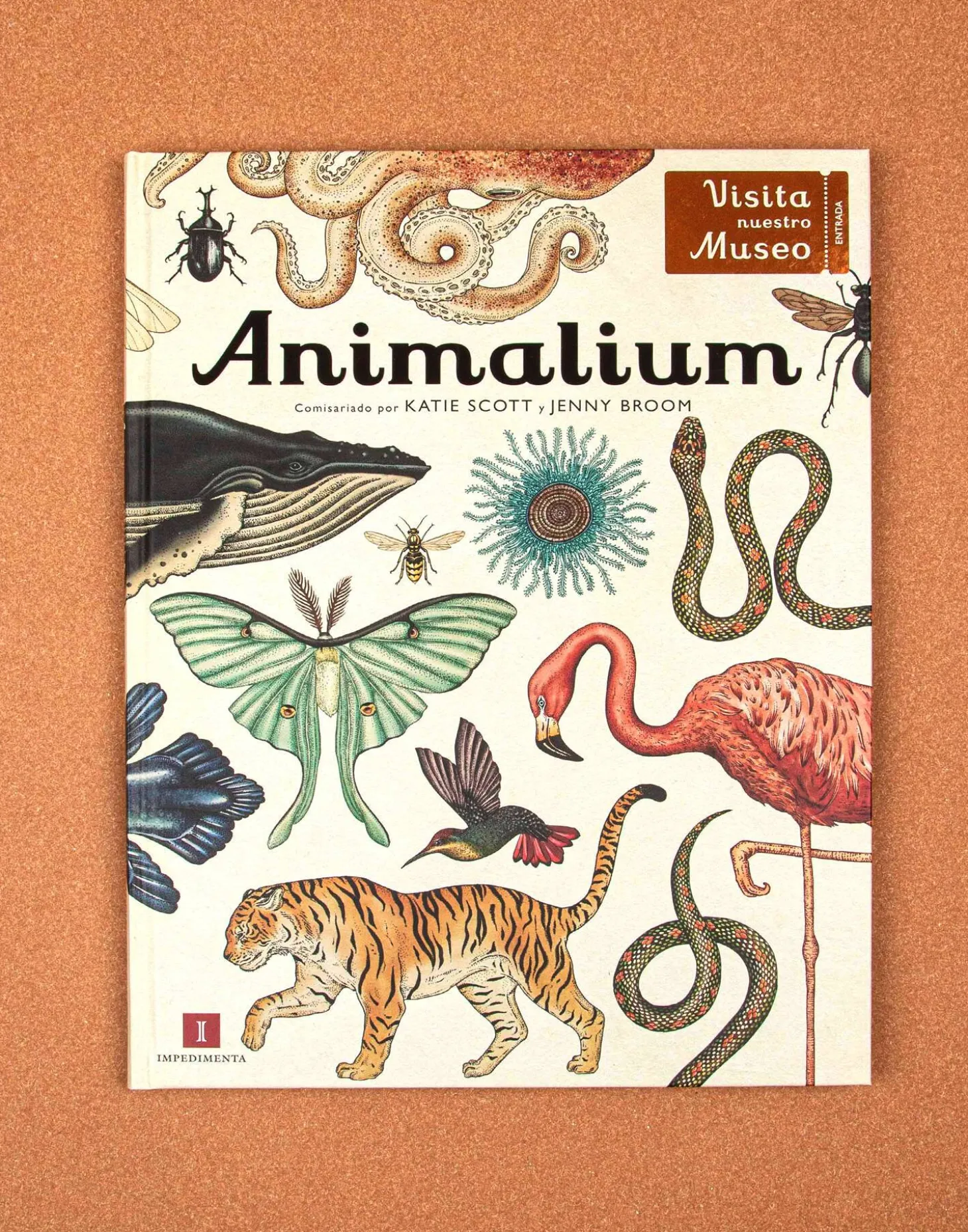 Animalium