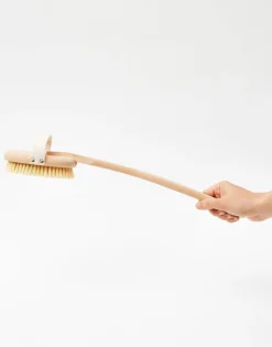 Cepillo Con Mango Cuerpo Y Espalda