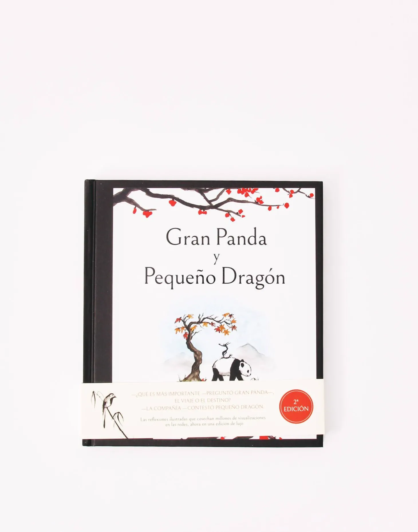 Gran Panda Y Pequeño Dragón