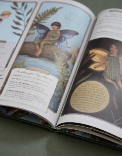 Historia Natural De Las Hadas