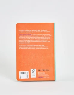 Juegos De Viaje En Familia