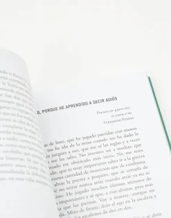 Qué Bueno Que Te Fuiste