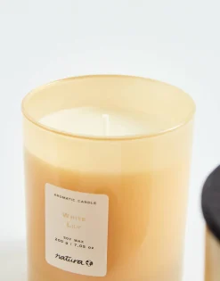 Vela De Soja Perfumada 200gr