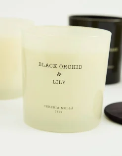 Vela 600gr Cereria Mollá