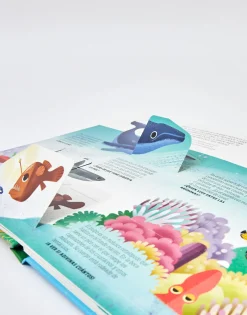 Viaja Y Descubre La Tierra