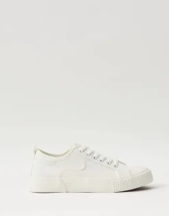 Zapatilla Deportiva Canvas